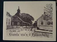  En bok om Gamla sta&acute;n i Falkenberg