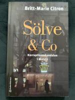 S&ouml;lve & Co : korruptionsskandalen i Motala