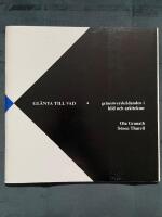 Gl&auml;nta till vad : gr&auml;ns&ouml;verskridanden i bild och arkitektur