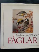 Br&ouml;derna von Wrights f&aring;glar