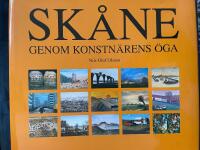 Sk&aring;ne genom konstn&auml;rens &ouml;ga