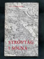 Str&ouml;vt&aring;g i Solna