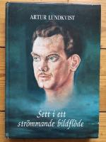 Sett i ett str&ouml;mmande bildfl&ouml;de : filmess&auml;er