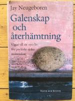 Galenskap och &aring;terh&auml;mtning : V&auml;gar till ett nytt liv f&ouml;r psykiskt sjuka m&auml;nniskor