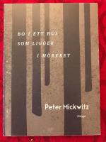 Bo i ett hus som ligger i m&ouml;rkret