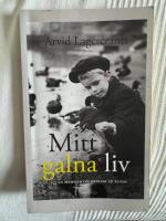 Mitt galna liv : en memoar om psykisk sjukdom