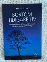 Bortom tidigare liv : vad parallella verkligheter kan l&auml;ra oss om relationer, l&auml;kning och f&ouml;r&auml;ndring