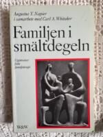 Familjen i sm&auml;ltdegeln : upplevelser fr&aring;n familjeterapi