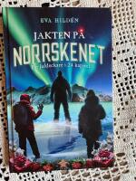 Jakten p&aring; norrskenet : en juldeckare i 24 kapitel