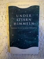Under stj&auml;rnhimmeln : tankar p&aring; en &aring;ldrig stenb&auml;nk