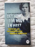 Det kom f&ouml;r mig i en hast : historien om barnam&ouml;rderskan Ingeborg Andersson