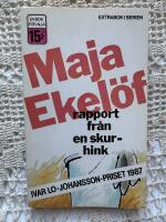 Rapport fr&aring;n en skurhink