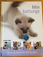 Min kattunge : S&aring; tar du hand om ditt husdjur