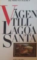 V&auml;gen till Lagoa Santa
