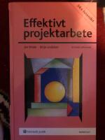 Effektivt projektarbete