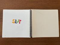 Animera mera : att ber&auml;tta med ord, bilder, r&ouml;relser och ljud