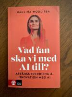 Vad fan ska vi med AI till? - aff&auml;rsutveckling & innovation med AI