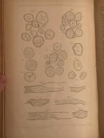 Biologiska F&ouml;reningens f&ouml;rhandlingar. Vehandlungen des Biologischen Vereins in Stockholm. Band I-IV. 1888-1892