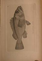 Biologiska F&ouml;reningens f&ouml;rhandlingar. Vehandlungen des Biologischen Vereins in Stockholm. Band I-IV. 1888-1892