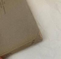 The Cretaceous Theropodous Dinosaur Gorgosaurus