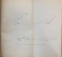 The Cretaceous Theropodous Dinosaur Gorgosaurus