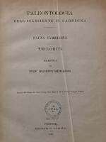 Paleontologia dell'iglesiente in Sardegna. Fauna Cambriana. Trilobiti