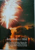 &Auml;ngelholm i bild