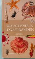 Vad jag finner p&aring; havsstranden
