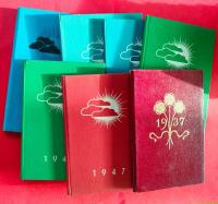 Almanack Till f&ouml;rm&aring;n f&ouml;r de blinda i v&aring;rt land