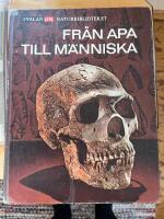 Fr&aring;n apa till m&auml;nniska