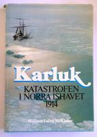 Karluk : katastrofen i Norra ishavet 1914