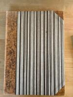 Fr&aring;n dagatr&auml;l till medborgare