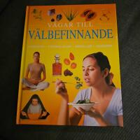 V&auml;gar till v&auml;lbefinnande