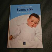 Somna sj&auml;lv : hur man l&auml;r sig sova hela natten