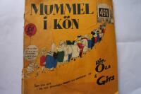 Mummel i k&ouml;n - &Aring;ret som gick 1964