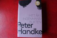 Mitt &aring;r i Ingenmansbukten : en saga fr&aring;n de nya tiderna