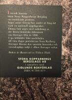 Det stora kopparberget : en tidsresa