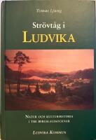 Str&ouml;vt&aring;g i Ludvika : natur och kulturhistoria i Ludvika, Grang&auml;rde och S&auml;fsn&auml;s