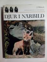 Djur i n&auml;rbild