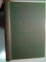 Damen som f&ouml;rsvann