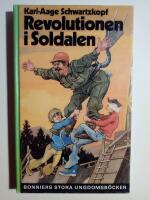 Revolutionen i Soldalen