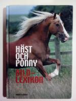 H&auml;st och ponny : bildlexikon