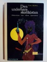 Den underbara skattkistan : En historia om lyxen ber&auml;ttad f&ouml;r ungdom