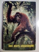 Den stora utmaningen