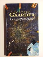 I en g&aring;tfull spegel