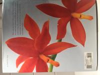 Orchids A splendid obsession