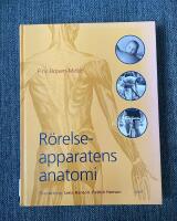 R&ouml;relseapparatens anatomi