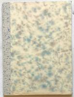 Sorgmantel och andra visor