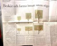 Besk&auml;ra tr&auml;d och buskar