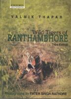 Wild Tigers of Ranthambhore